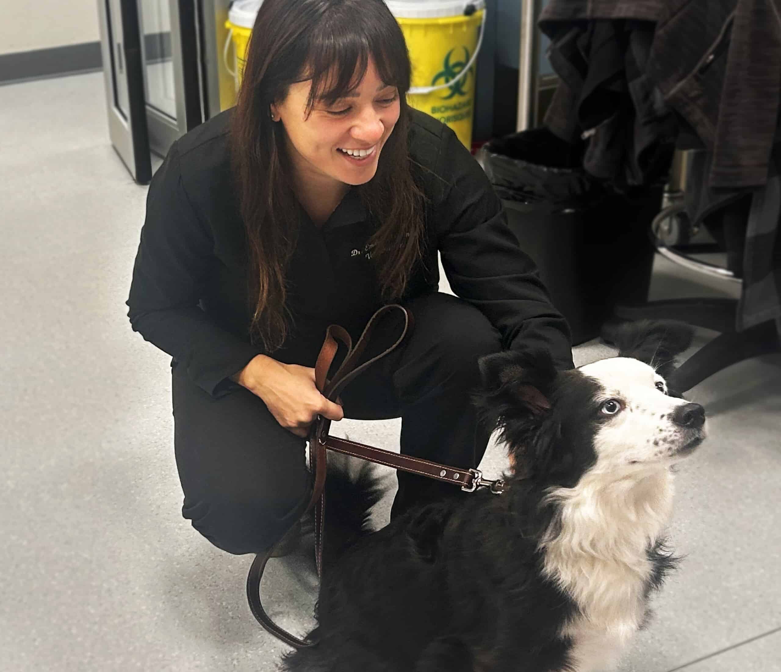 Dr Emilie Martinho at OAESH