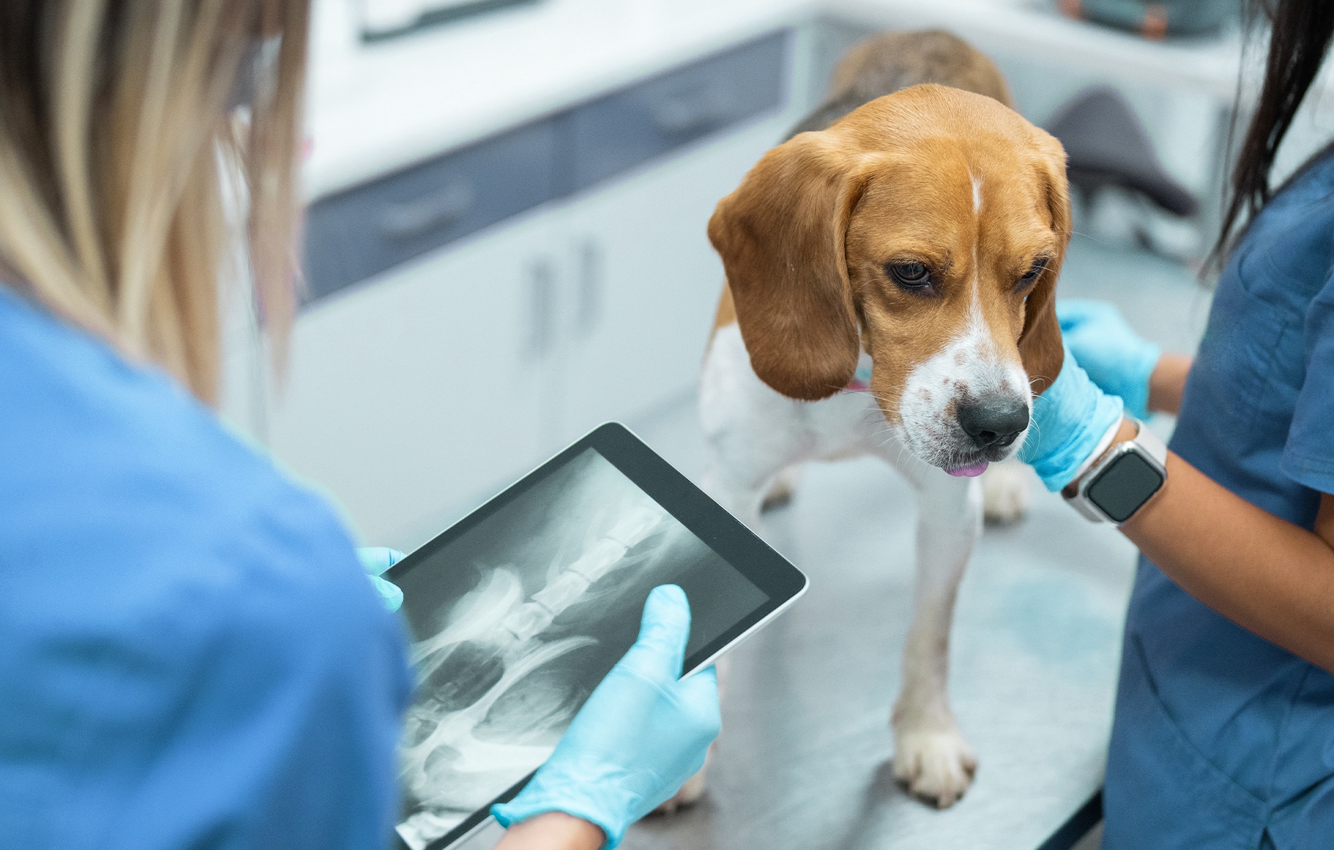 advanced diagnostics